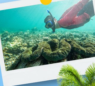 Snorkeling with giant clams, Upolu west coast