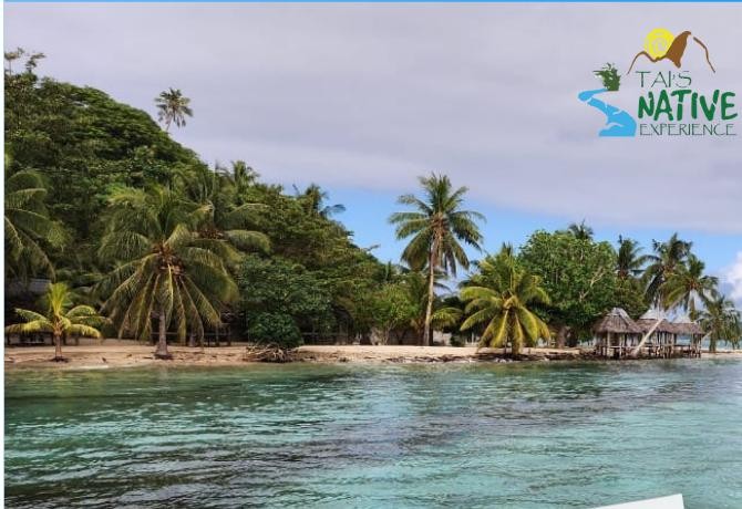 Samoan beach with traditional fale huts