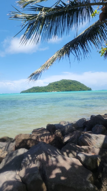 Namu'a Turtle Island